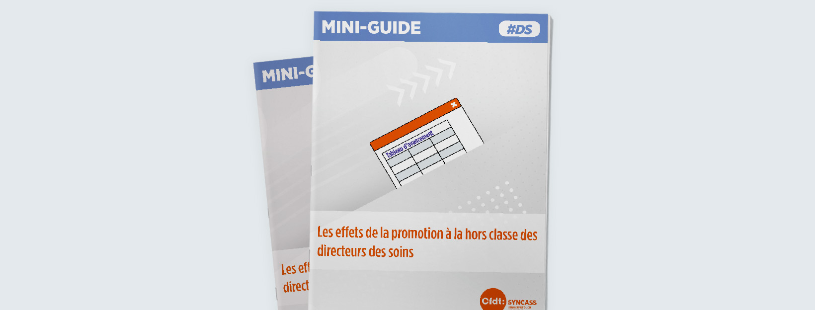 DS – Les effets de la promotion à la hors classe des directeurs des soins